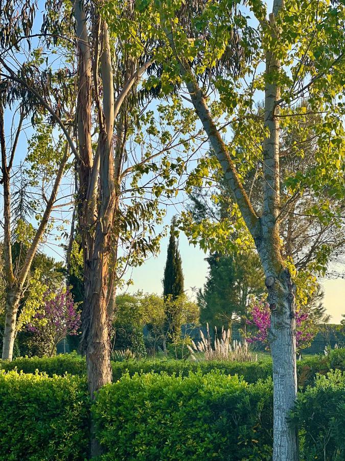 Hotel Aatu - Adults Only Peratallada